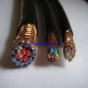 常州电缆 常州电缆